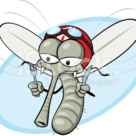 IsidorMeyer1's profile picture. Chairman of the Central Council of Mosquitoes, UNO full member without mandate, ex-spy drone, Subsidiaries: Washington, Jerusalem #TRUMP