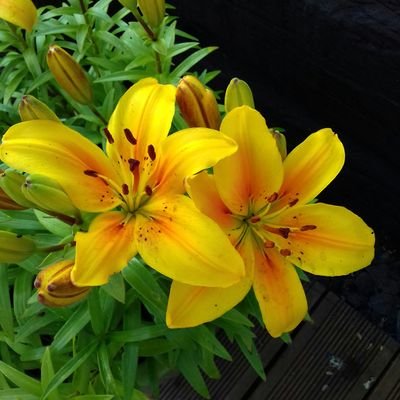 annettey0711's profile picture. 