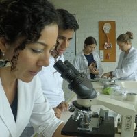 Dunia H. Urrego (@pastteller) 's Twitter Profile