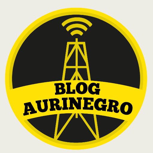 BLOG AURINEGRO Profile