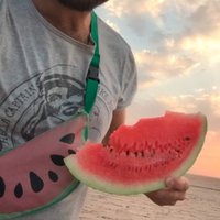Melonväskan (@melonvaskan) 's Twitter Profile