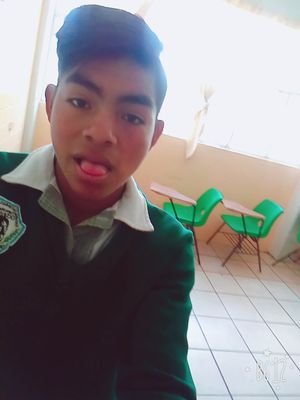 perryfeliciano7's profile picture. 