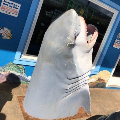 Violet Myers on Twitter: "I just love pooping" / Twitter