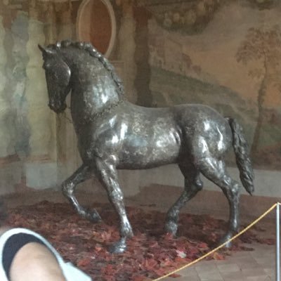 CristianViola77's profile picture. Empresario, amante de Venezuela, de mi familia y del mejor deporte del mundo el HIPISMO