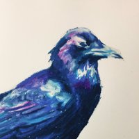 Ollie (@whalefern) 's Twitter Profile Photo Ollie (@whalefern) 's Twitter Profile Photo