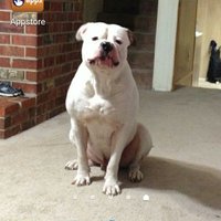 James McILwain (@mac_2_nite) 's Twitter Profile Photo