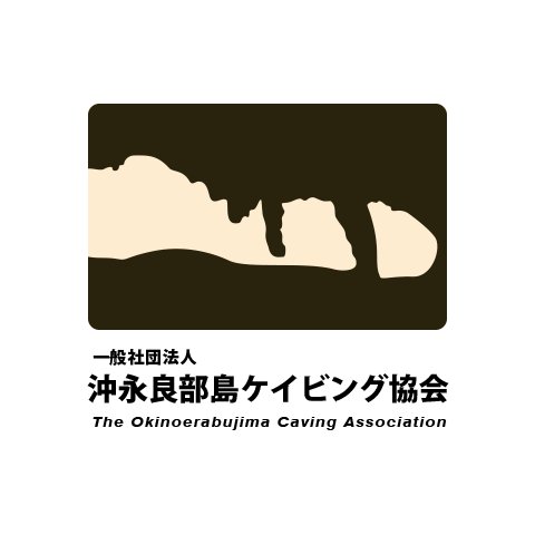 沖永良部島のケイビングツアーは(社)沖永良部島ケイビング協会へ! はじめてでも気軽に行ける自然鍾乳洞や沖永良部島最高峰の洞窟・銀水洞など島だけの「絶景」がお楽しみいただけます。(社)沖永良部島ケイビング協会は2011年設立の沖永良部島で初のケイビング団体です。2021年設立10周年!