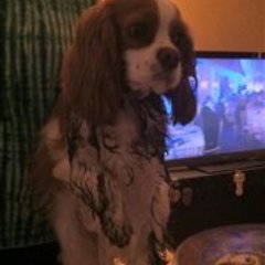 sweetJulieRose's profile picture. 