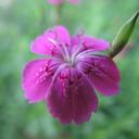 Yoon Chang Suk - @Fence6377 - Twitter