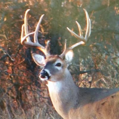 rxreb's profile picture. 