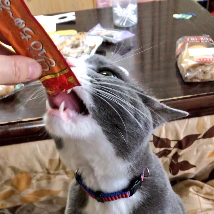 norank0609's profile picture. 社会人8年生。