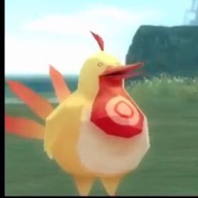 UK_F_kaigo47's profile picture. 