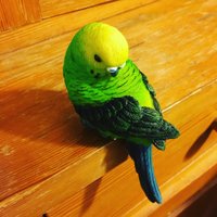 Tokko🤗 (@tokkona) 's Twitter Profile Photo