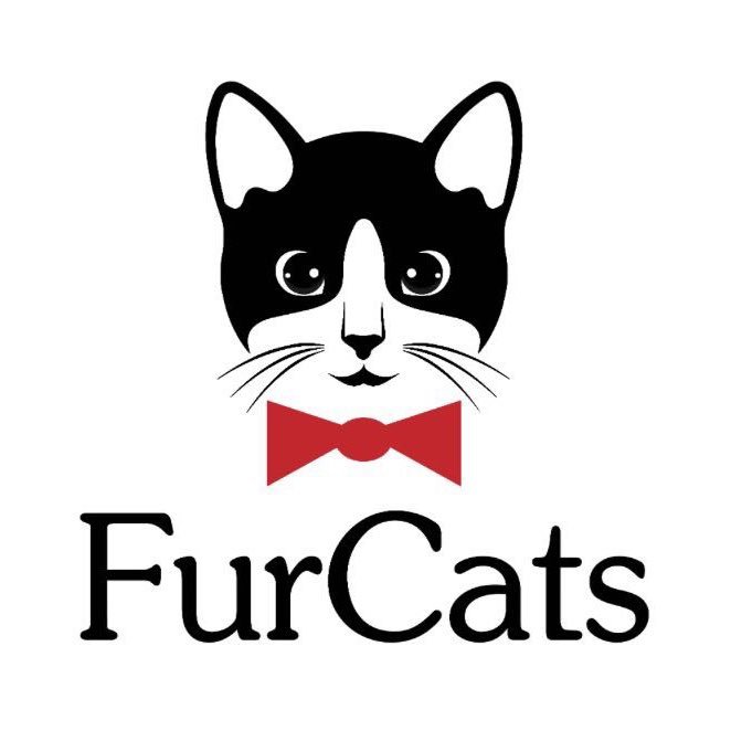 A cat boutique to meet all your feline needs.FurCats-A Shop.For Cats.Celebrating the link between Healthy cat;Healthy owner. Reciprocate your cat's ❤️