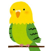 迷いインコ@プロフ確認して下さい (@search_birds) 's Twitter Profile Photo