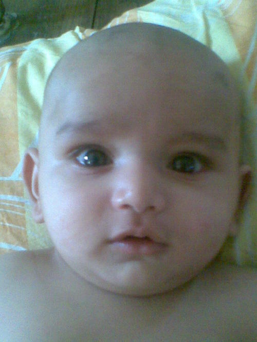 NAYAN1205's profile picture. I Proud to be an INDIAN.
Cricket lover