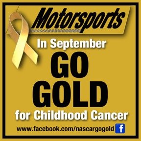 My name is Greg Puryear. Retired at Joe Gibbs Racing. My passion is spreading childhood cancer awareness through racing. Join the fight. Go gold in September.