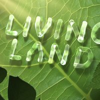 Living Land (@livinglandsabc) 's Twitter Profile Photo Living Land (@livinglandsabc) 's Twitter Profile Photo