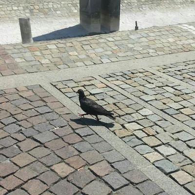 Rahulyadav80948's profile picture. 