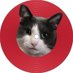 tatami 図書之介＠猫さまキングス (@tatamixcom) Twitter profile photo