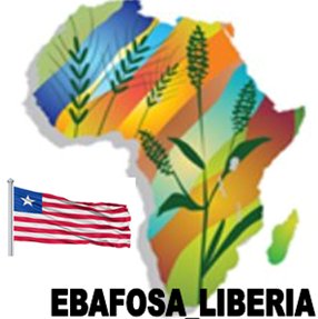 ebafosa_liberia's profile picture. 