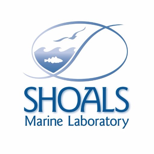 @ShoalsMarineLab