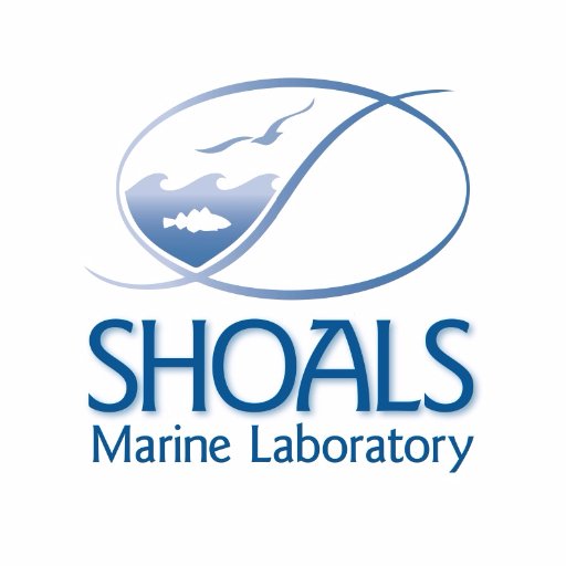 ShoalsMarineLab Profile Picture