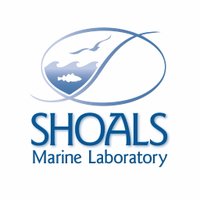 Shoals Marine Lab(@ShoalsMarineLab) 's Twitter Profile Photo