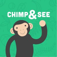 ChimpandSee(@ChimpandSee) 's Twitter Profile Photo