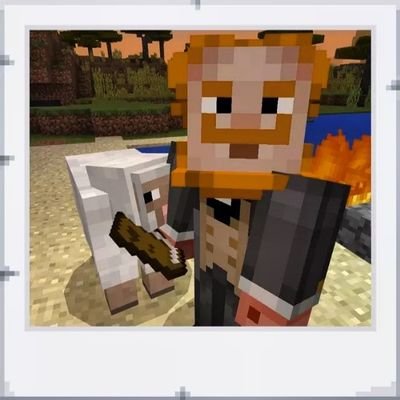Freelancer, Education, Digitization, Global Minecraft Mentor