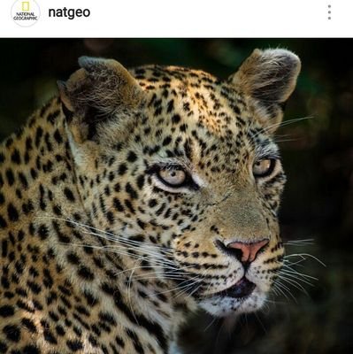 jorgemariosalda's profile picture. 