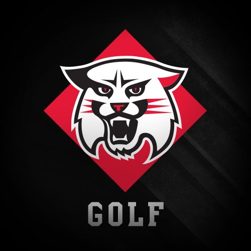 Davidson Golf Profile