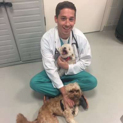 Veterinarian, oncology-obsessed, gamer, musician