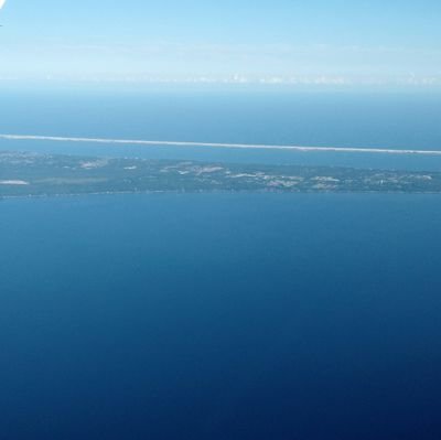 9OneOnePatriot's profile picture. 