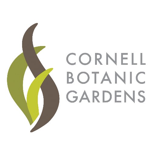 Cornell Botanic Gardens. Open to the public year-round, free of charge.