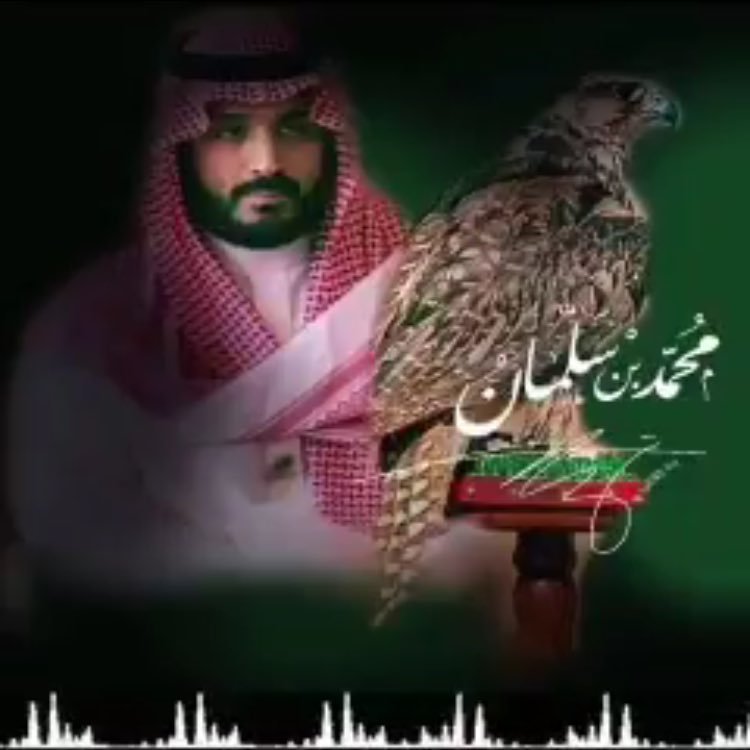 مسلم عربي سعودي رافع البيرق عسى عزهـ يدوم 🇸🇦 #محمد_بن_سلمان_امل_وطن