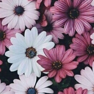 Sofiaaguilar098's profile picture. 