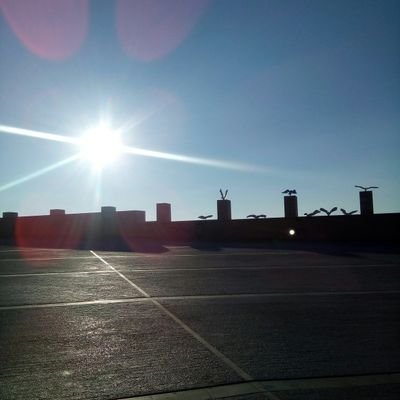 XxVittoria's profile picture. Scrivo racconti ( letti da nessuno) per sopravvivere a me stessa.
NON seguo tutti.