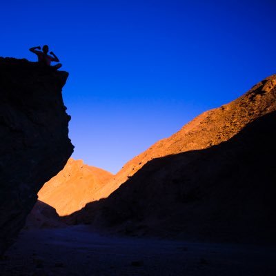 yilinchen0911's profile picture. MLE @ Twitter ads, NYC