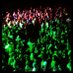 Concert Commandments (@concertcommands) Twitter profile photo Concert Commandments (@concertcommands) Twitter profile photo