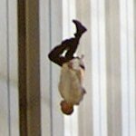 testedplatform's profile picture. 