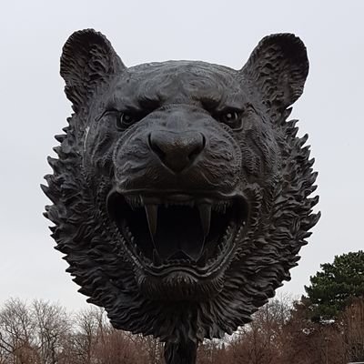 KnowlesWarren's profile picture. Brewer