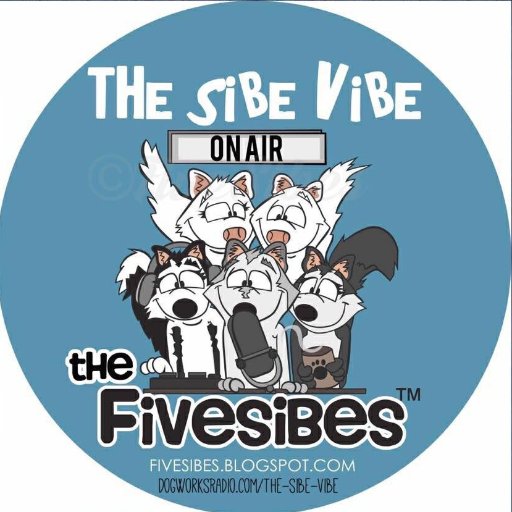 AUTHOR: @ChickenSoupSoul & @4Knines Author, @WomansWorld Romance Author, #FiveSibes Blog, #LiveGibStrong #Paws4Purple K9 Epilepsy Ambassador, Runs on Coffee