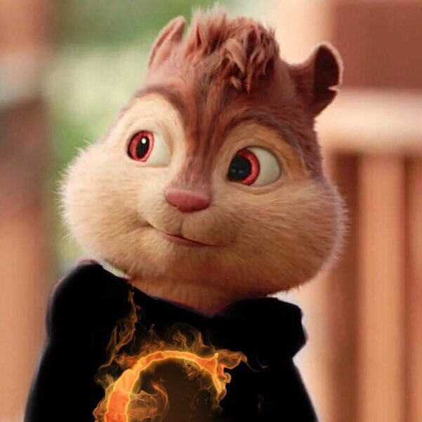 Chock_Chipmunk's profile picture. hi I'm Chock you know One Of Simon's Dangerous Projects. #Taken By @brittispretty1 💕 7.21.17 💘