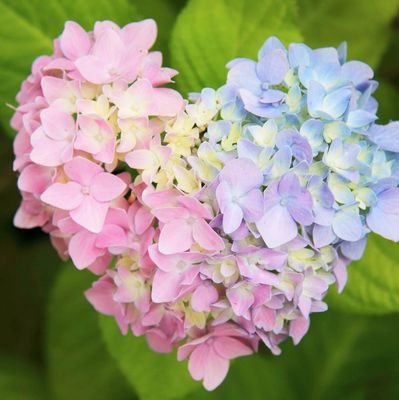 ■推しを見守るアカウント(This is an account to keep an eye on your favorite authors)■20↑