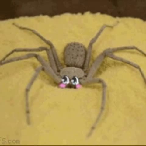 Muradin5913's profile picture. 