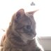 JustHappy2BeHere (@fattyandfletch) Twitter profile photo JustHappy2BeHere (@fattyandfletch) Twitter profile photo