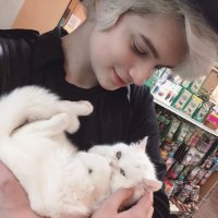 t o g e p i (@sheiteredegg) 's Twitter Profile