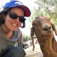Katie Levine (@kt_money) 's Twitter Profile