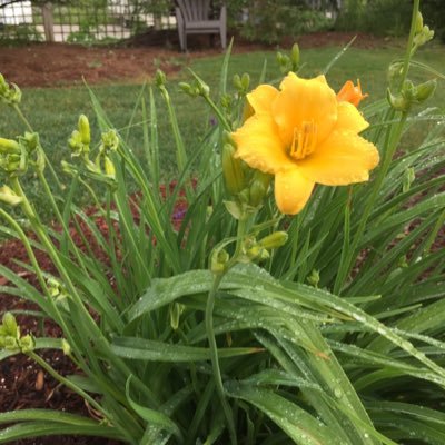 JillFleming2013's profile picture. CoPartner with my soul mate/husband franchising a sobeys store.